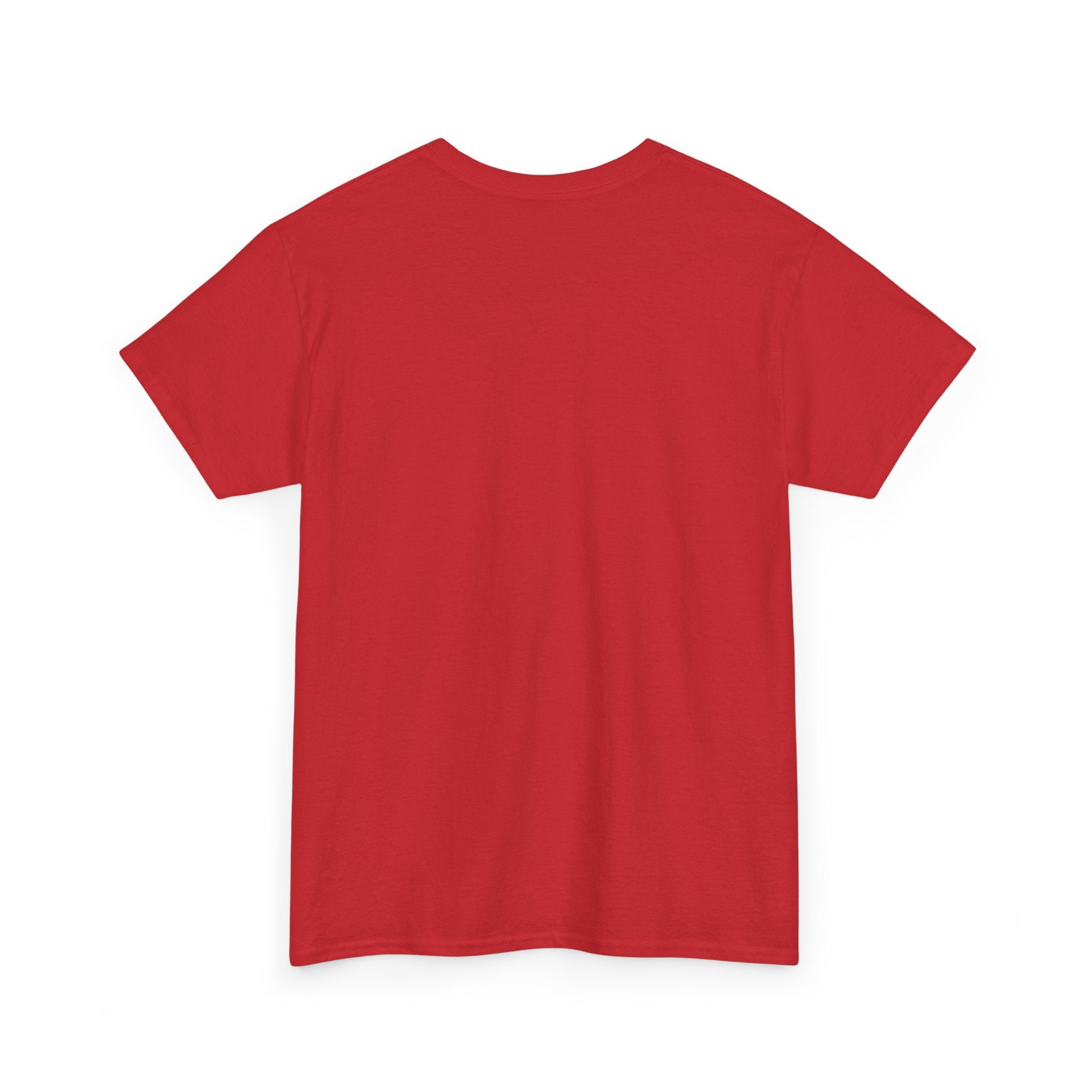 PopStar Unisex Heavy Cotton Tee