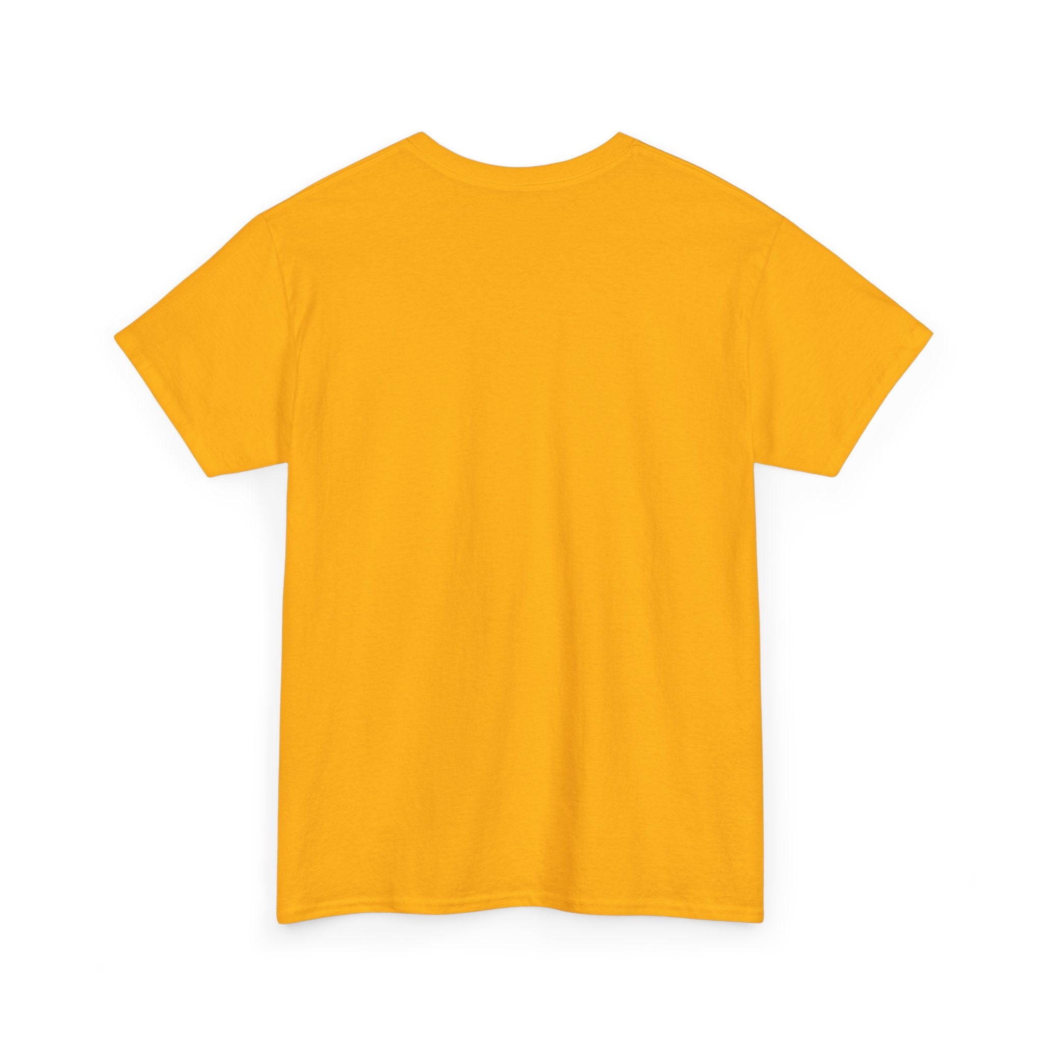 PopStar Unisex Heavy Cotton Tee